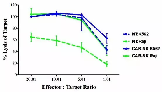 脐带血来源CAR-NK细胞：一种更具应用前景的异体抗肿瘤免疫细胞