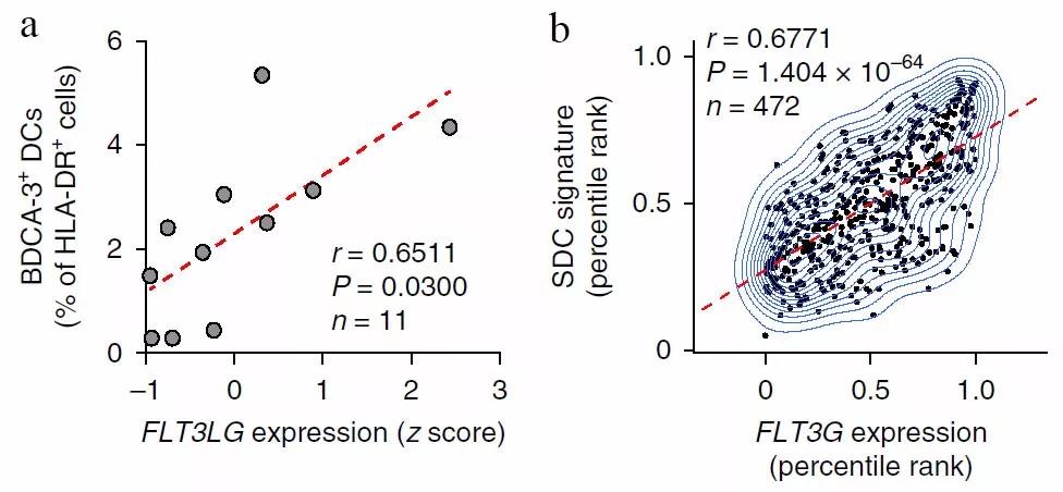 肿瘤内NK细胞水平决定抗PD-1检查点免疫疗法的疗效及总生存率