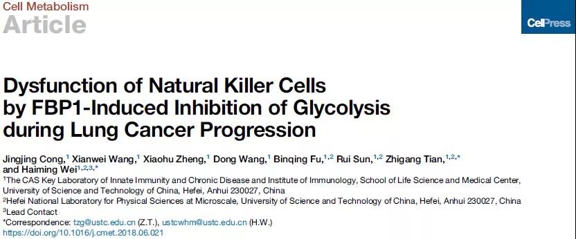 科学家发现肺癌进展中NK细胞抗肿瘤功能丧失的分子机制