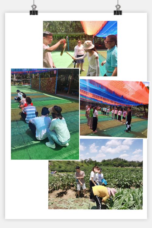 团结拼搏，与梦同行，快乐共赢——公司开展团建活动