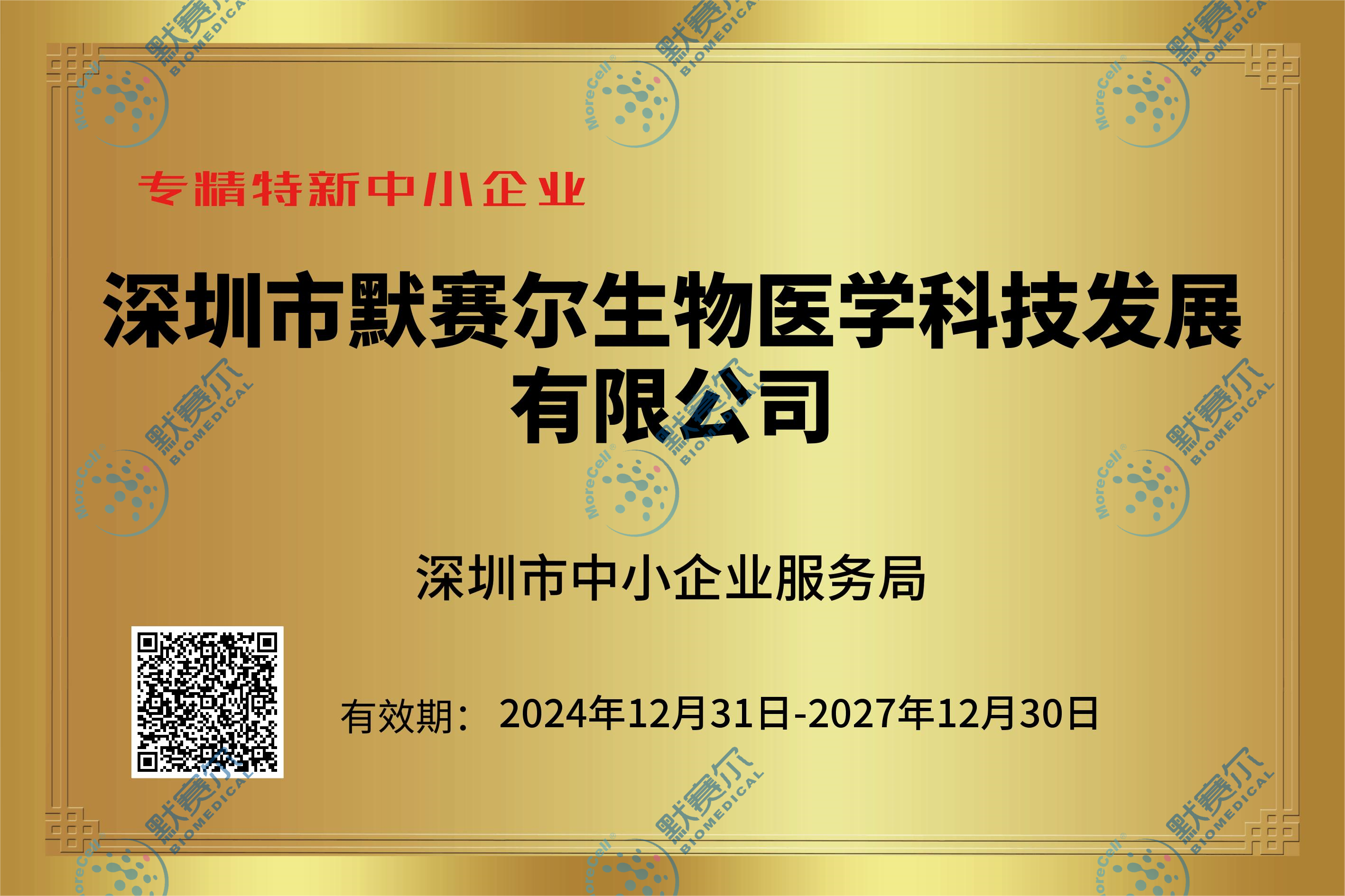 深圳市专精特新中小企业