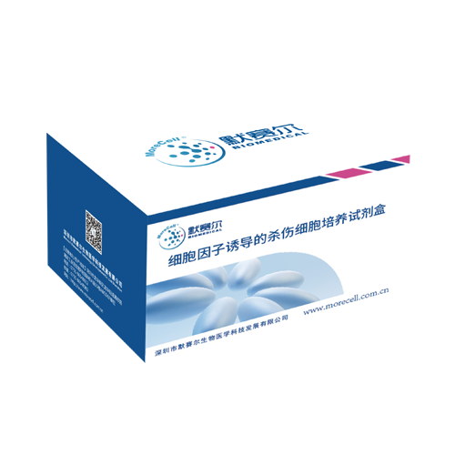 细胞因子诱导的杀伤细胞培养试剂盒