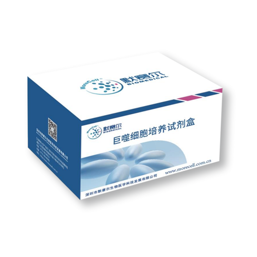 巨噬细胞培养试剂盒